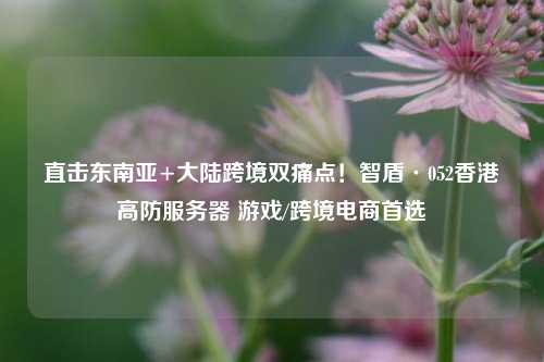 直击东南亚+大陆跨境双痛点！智盾·052香港高防服务器 游戏/跨境电商首选