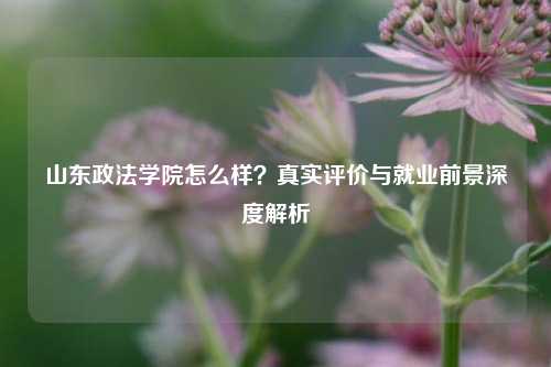 山东政法学院怎么样？真实评价与就业前景深度解析