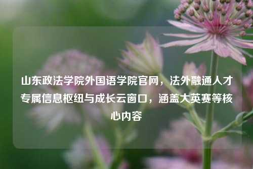 山东政法学院外国语学院官网，法外融通人才专属信息枢纽与成长云窗口，涵盖大英赛等核心内容