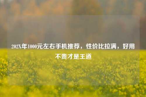 202X年1000元左右手机推荐,性价比拉满,好用不贵才是王道