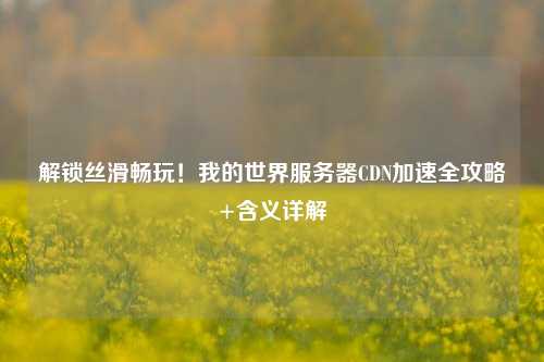 解锁丝滑畅玩！我的世界服务器CDN加速全攻略+含义详解