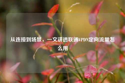 从连接到场景，一文讲透联通VPDN定向流量怎么用