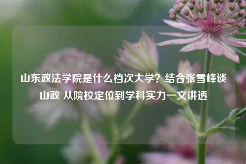 山东政法学院是什么档次大学?结合张雪峰谈山政 从院校定位到学科实力一文讲透