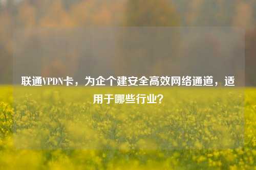 联通VPDN卡,为企个建安全高效网络通道,适用于哪些行业?