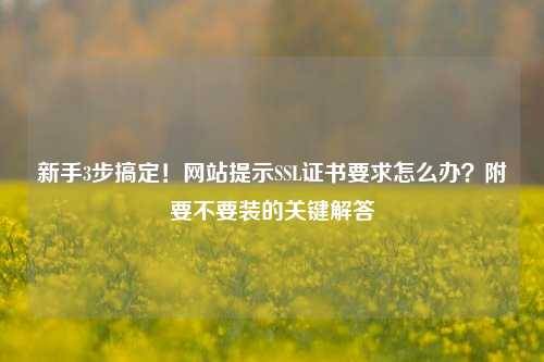 新手3步搞定!网站提示SSL证书要求怎么办?附要不要装的关键解答