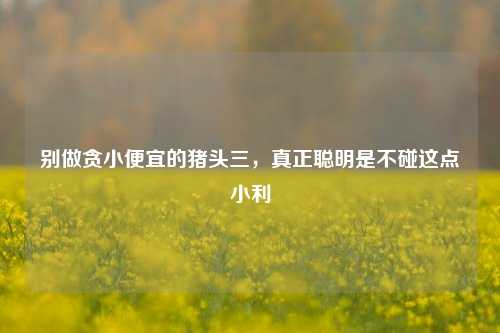 别做贪小便宜的猪头三,真正聪明是不碰这点小利