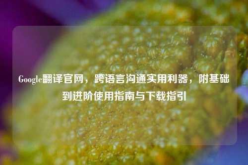 Google翻译官网,跨语言沟通实用利器,附基础到进阶使用指南与下载指引