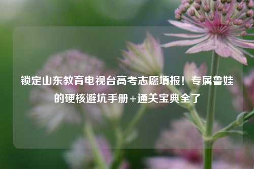 锁定山东教育电视台高考志愿填报!专属鲁娃的硬核避坑手册+通关宝典全了