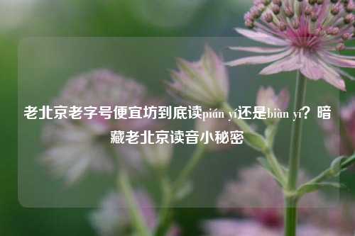 老北京老字号便宜坊到底读pián yí还是biàn yí？暗藏老北京读音小秘密