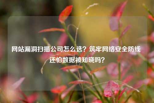 网站漏洞扫描公司怎么选？筑牢网络安全防线 还怕数据被知晓吗？
