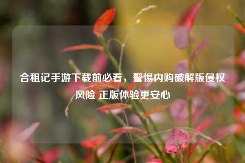 合租记手游下载前必看,警惕内购破解版侵权风险 正版体验更安心