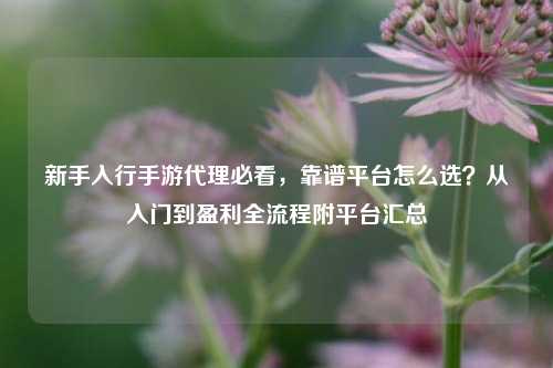 新手入行手游代理必看，靠谱平台怎么选？从入门到盈利全流程附平台汇总