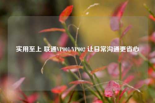 实用至上 联通VP001/VP002 让日常沟通更省心