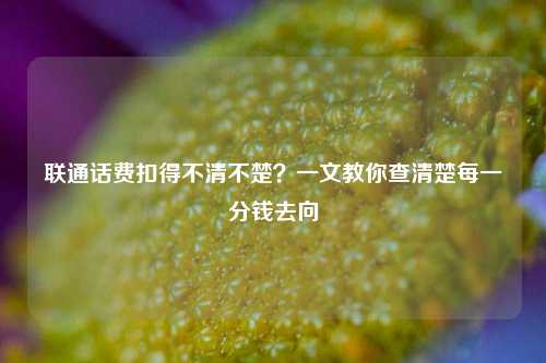 联通话费扣得不清不楚?一文教你查清楚每一分钱去向