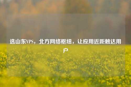 选山东VPS,北方网络枢纽,让应用近距触达用户