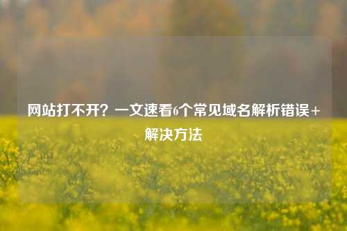 网站打不开？一文速看6个常见域名解析错误+解决方法