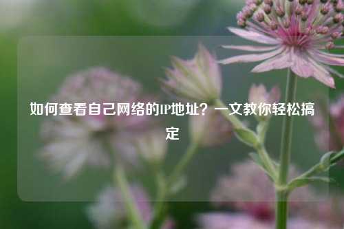 如何查看自己网络的IP地址？一文教你轻松搞定