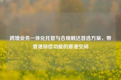 跨境业务一体化托管与合规触达首选方案,带香港短信功能的香港空间