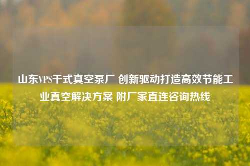 山东VPS干式真空泵厂 创新驱动打造高效节能工业真空解决方案 附厂家直连咨询热线