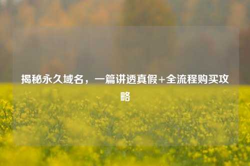 揭秘永久域名,一篇讲透真假+全流程购买攻略