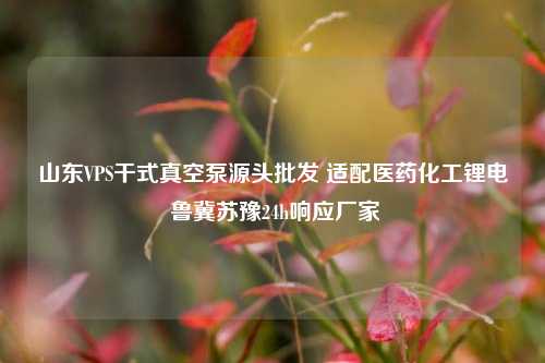山东VPS干式真空泵源头批发 适配医药化工锂电 鲁冀苏豫24h响应厂家