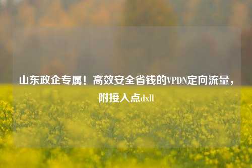 山东政企专属!高效安全省钱的VPDN定向流量,附接入点dxll