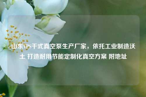 山东VPS干式真空泵生产厂家，依托工业制造沃土 打造耐用节能定制化真空方案 附地址