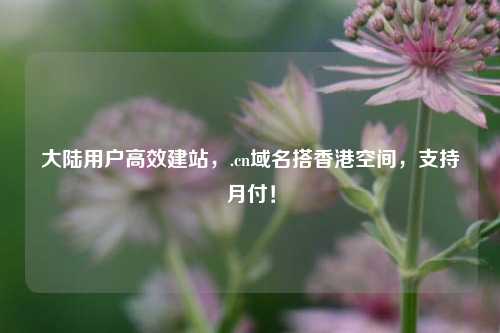 大陆用户高效建站,.cn域名搭香港空间,支持月付!
