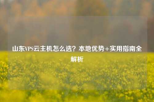 山东VPS云主机怎么选？本地优势+实用指南全解析