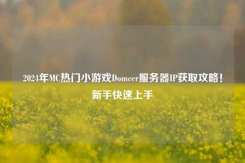 2024年MC热门小游戏Domcer服务器IP获取攻略!新手快速上手