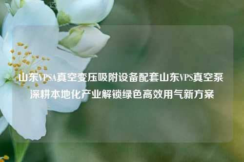 山东VPSA真空变压吸附设备配套山东VPS真空泵 深耕本地化产业解锁绿色高效用气新方案