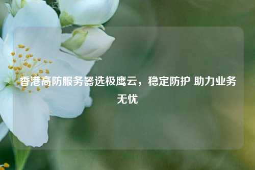 香港高防服务器选极鹰云，稳定防护 助力业务无忧