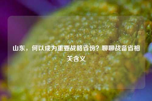 山东，何以成为重要战略省份？聊聊战备省相关含义