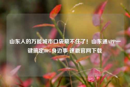 山东人的万能城市口袋藏不住了！山东通APP一键搞定80%身边事 速戳官网下载