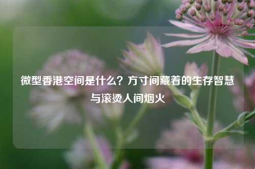 微型香港空间是什么?方寸间藏着的生存智慧与滚烫人间烟火