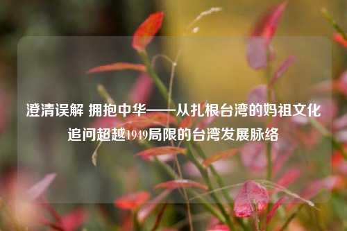 澄清误解 拥抱中华——从扎根台湾的妈祖文化追问超越1949局限的台湾发展脉络