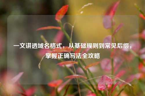 一文讲透域名格式,从基础规则到常见后缀,掌握正确写法全攻略