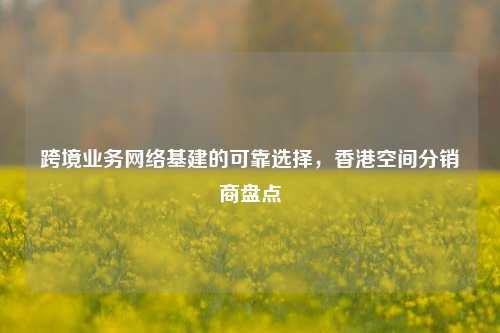 跨境业务网络基建的可靠选择，香港空间分销商盘点