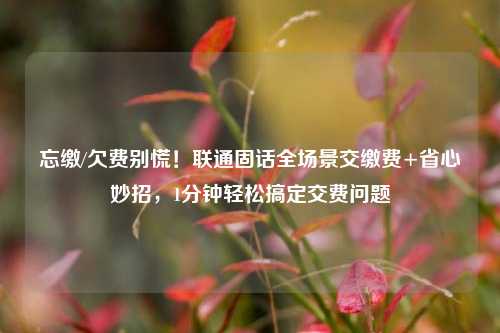 忘缴/欠费别慌!联通固话全场景交缴费+省心妙招,1分钟轻松搞定交费问题