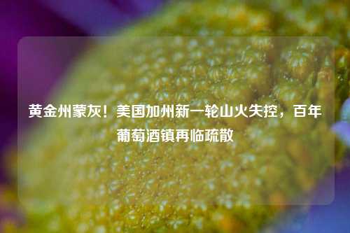 黄金州蒙灰！美国加州新一轮山火失控，百年葡萄酒镇再临疏散