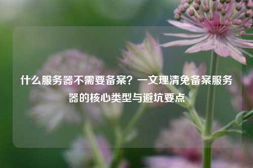 什么服务器不需要备案？一文理清免备案服务器的核心类型与避坑要点