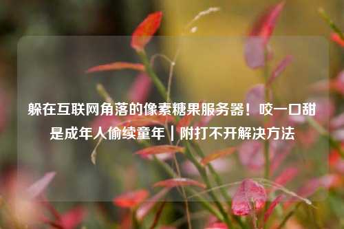躲在互联网角落的像素糖果服务器!咬一口甜是成年人偷续童年|附打不开解决方法