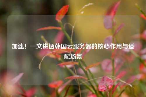 加速！一文讲透韩国云服务器的核心作用与适配场景
