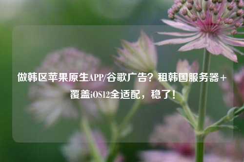 做韩区苹果原生APP/谷歌广告？租韩国服务器+覆盖iOS12全适配，稳了！