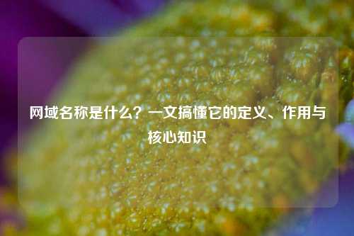 网域名称是什么?一文搞懂它的定义、作用与核心知识