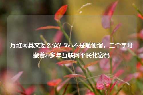 万维网英文怎么读?Web不是随便缩,三个字母藏着30多年互联网平民化密码