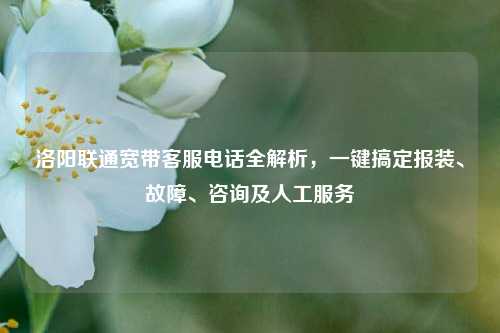 洛阳联通宽带客服电话全解析，一键搞定报装、故障、咨询及人工服务