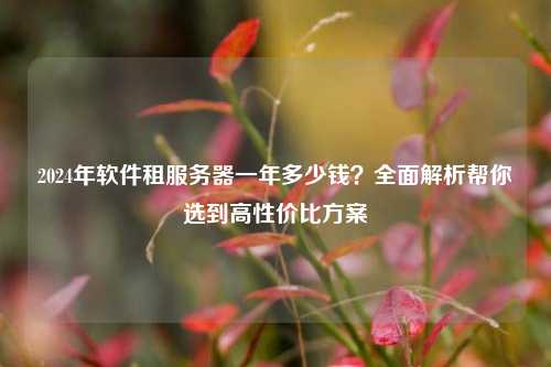 2024年软件租服务器一年多少钱？全面解析帮你选到高性价比方案