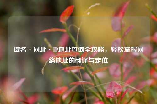 域名·网址·IP地址查询全攻略，轻松掌握网络地址的翻译与定位