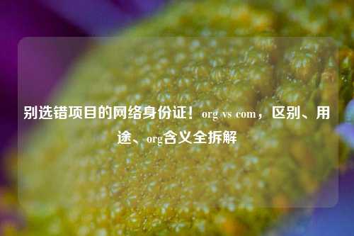 别选错项目的网络身份证!org vs com,区别、用途、org含义全拆解